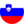 Slovenia flag