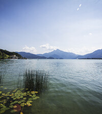 Fuschl am See
