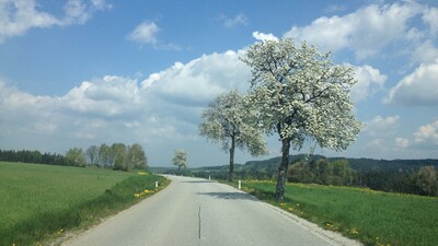Safe and fast travelling
