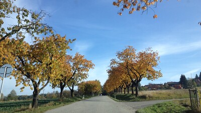 Transfer from CK Cesky Krumlov to Vienna