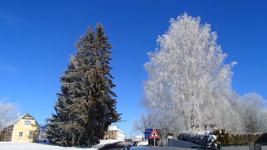 Private transfer from CK Cesky Krumlov to Vienna