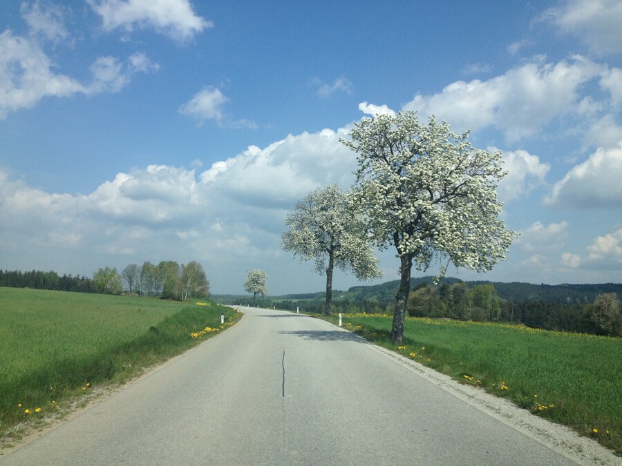 Safe and fast travelling