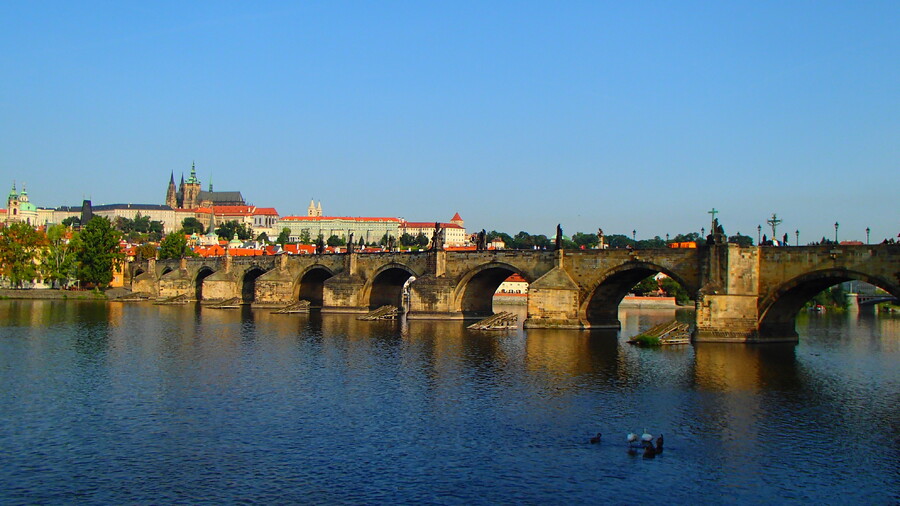  Transfer door-to-door - Perfect service