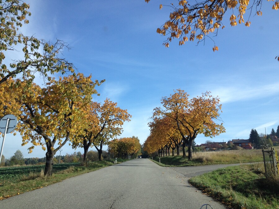 Transfer from CK Cesky Krumlov to Vienna